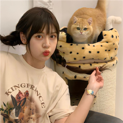 天津伴游女生星晓莉的资料